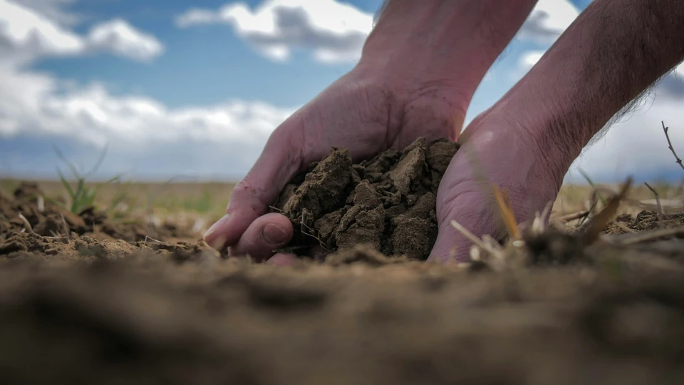 Enhanced Soil Fertility