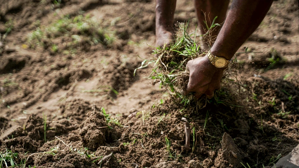 Sustainable Agricultural Practices