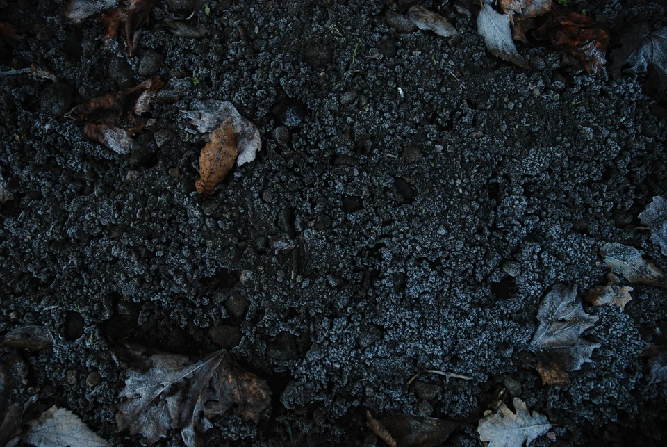 Biological Fulvic Acid