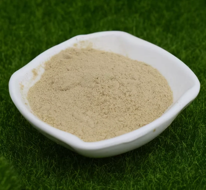 Amino Acids The Building Blocks of Plant Health